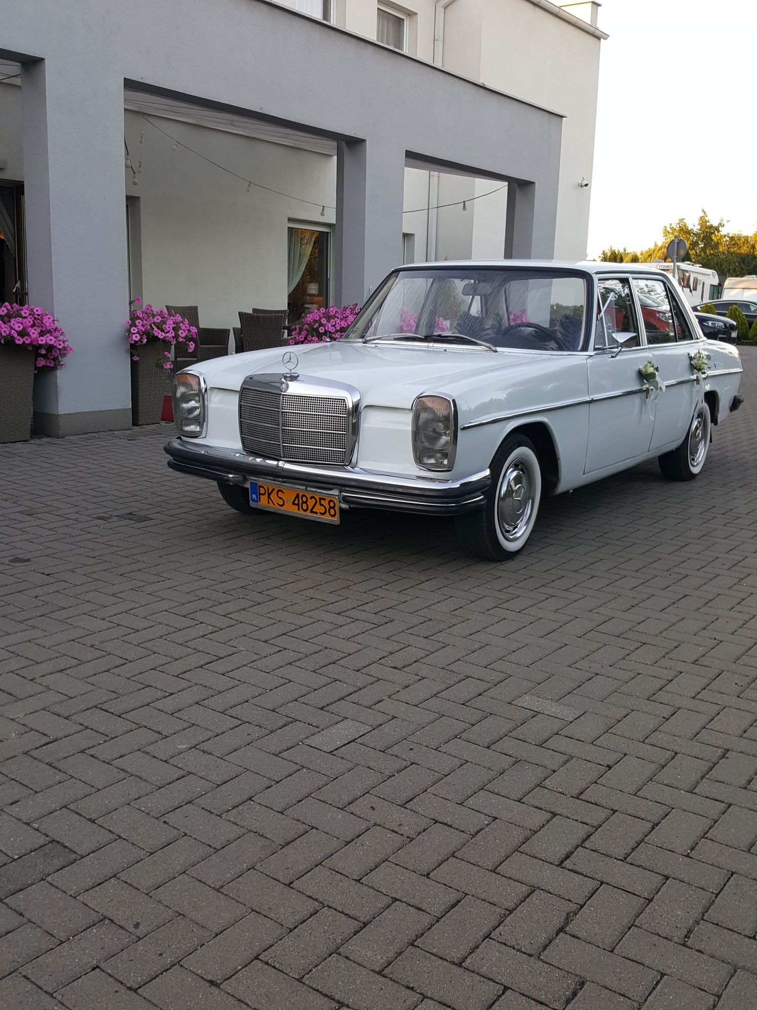 Mercedes zabytkowe Auto. Samochód do ślubu