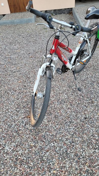 Rower Pegasus Avanti dla dziewczynki 26"