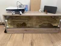 Terrarium dla gada 110x40x40
