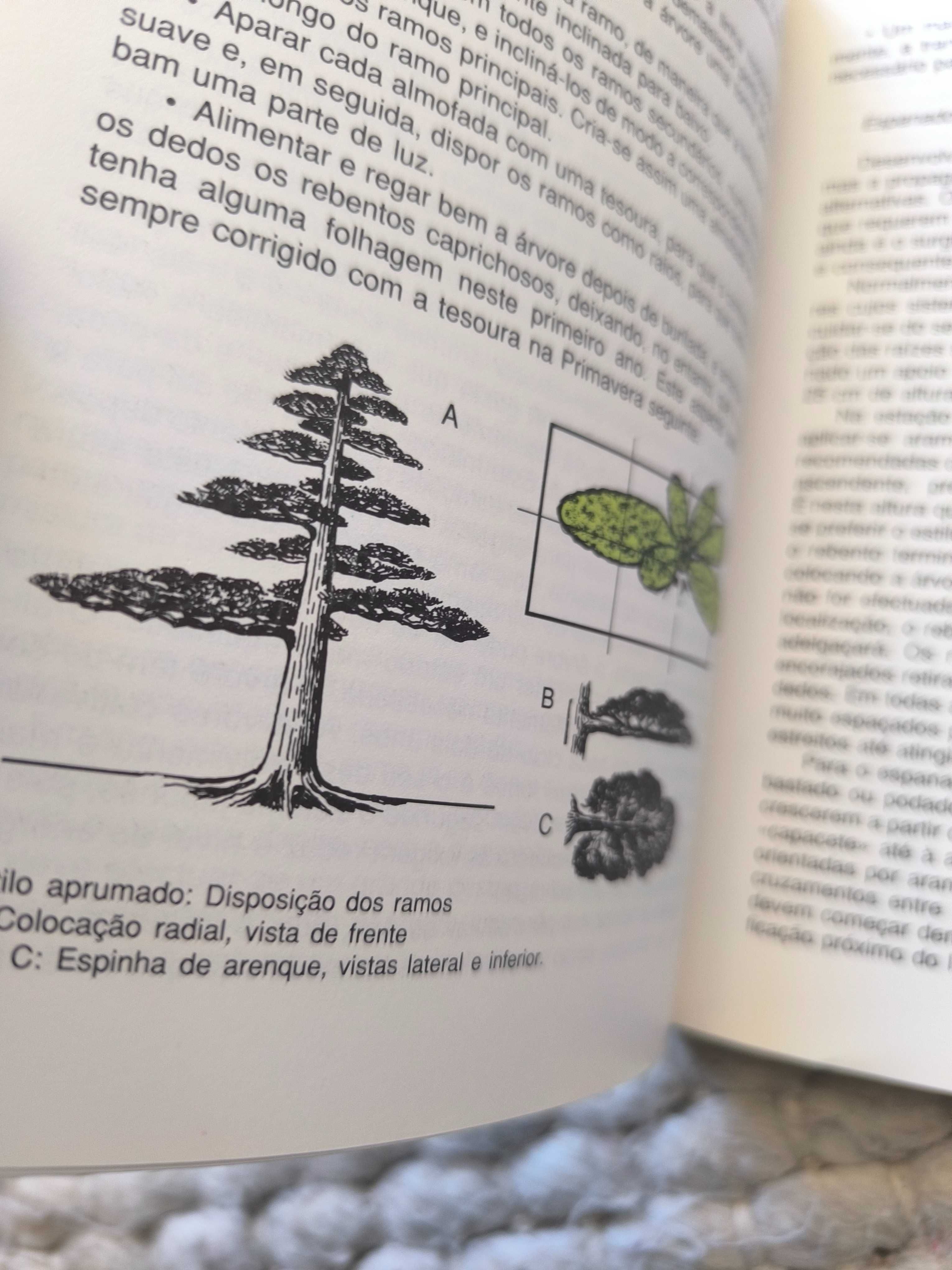 A Arte do Bonsai
de Peter Adams