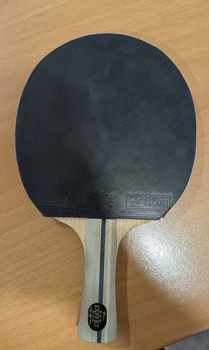 Raquete ténis de mesa/ping pong palio expert 3.0