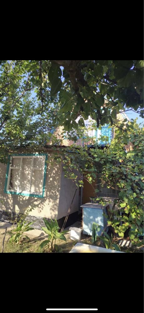 Продам дачу в СТ «Хімік» (с.Благодатне)