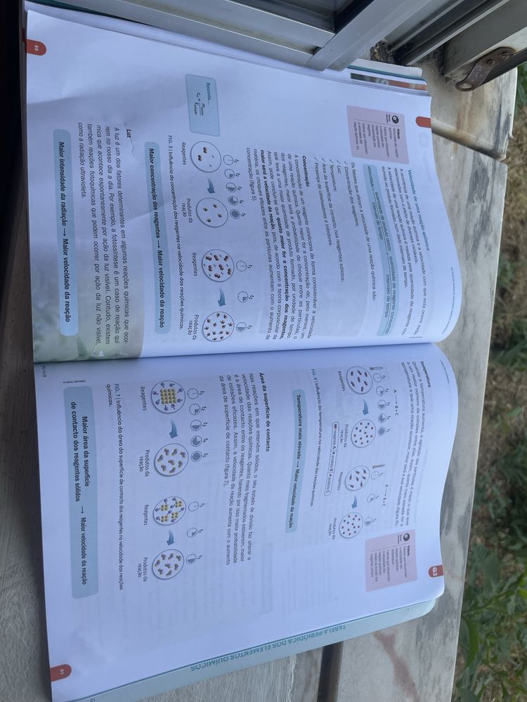 Manual fisica e quimica curso profissional 10ano