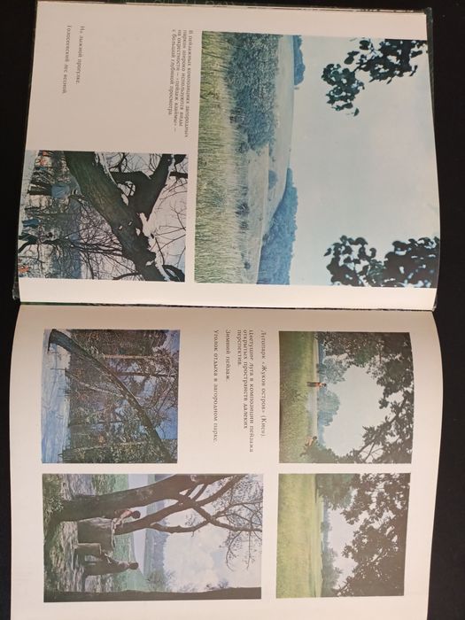 Проектирование современных загородных парков