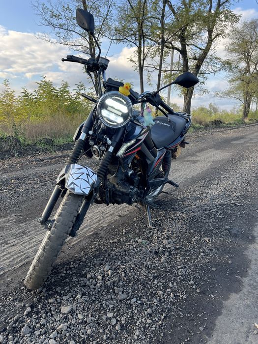 Musstang fortuna 200