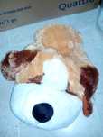 Big Foot Cão para colocar os pés