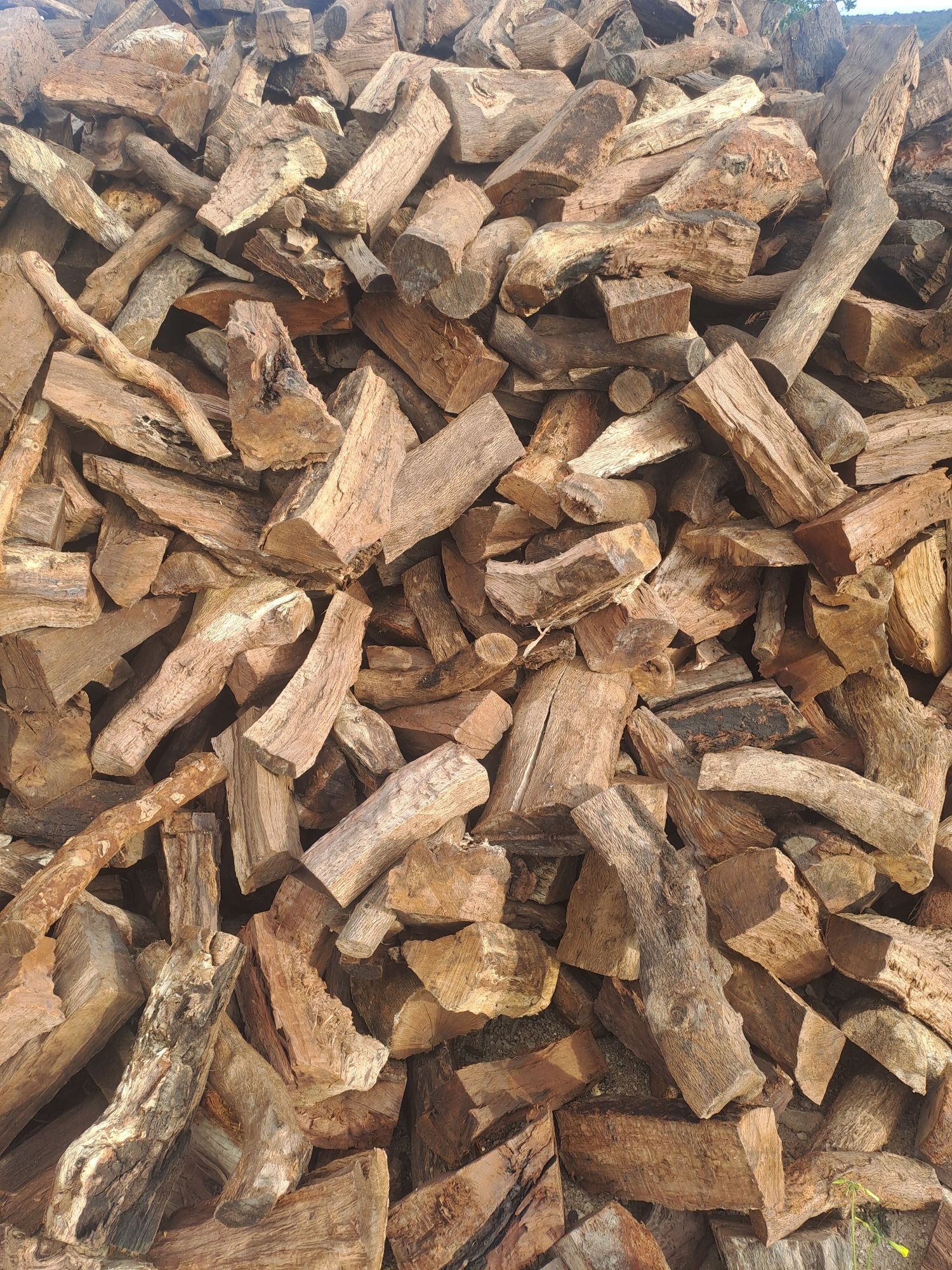 Lenha/ Firewood azinho-sobro