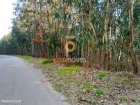 Terreno Florestal