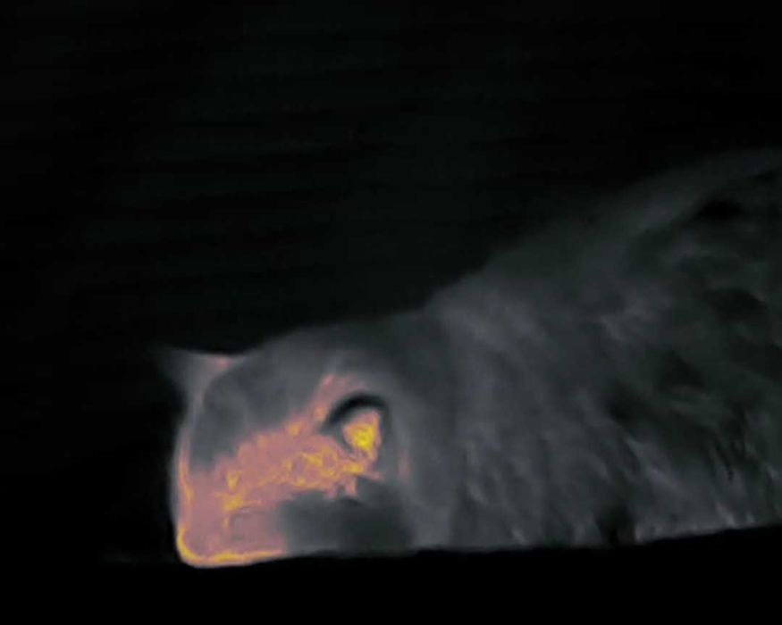 Тепловізор Cyclops 325