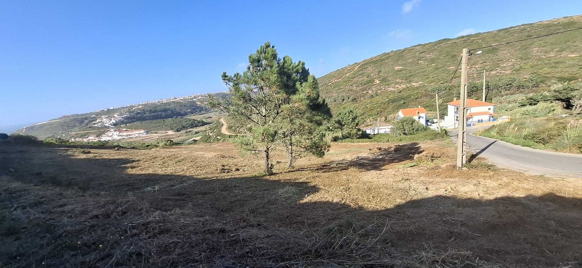 limpeza de terrenos