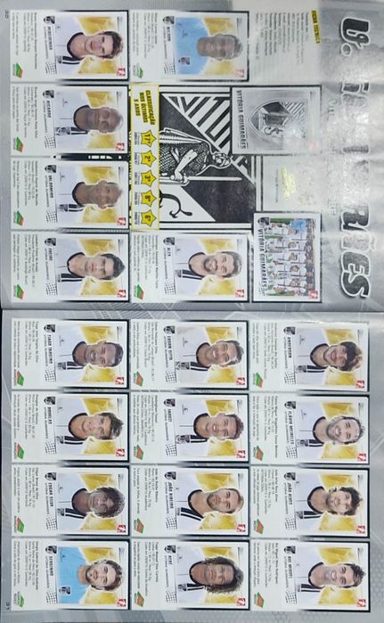 Caderneta Futebol 2010-11