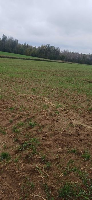 Działka rolno-budowlana Smolice