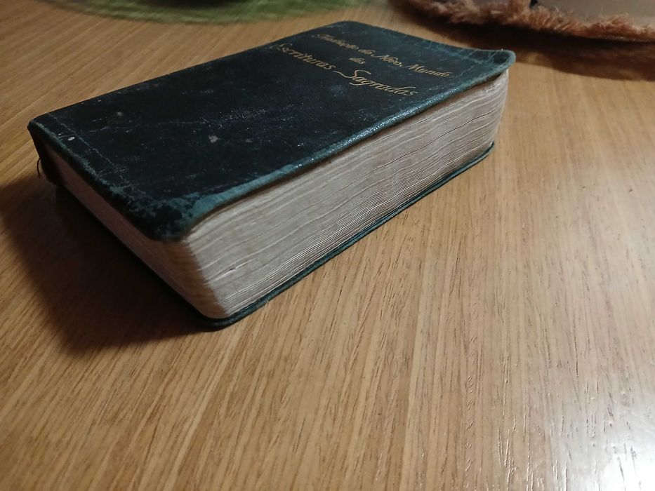 Tradução do Novo Mundo das Escrituras Sagradas (Edição Brasileira)