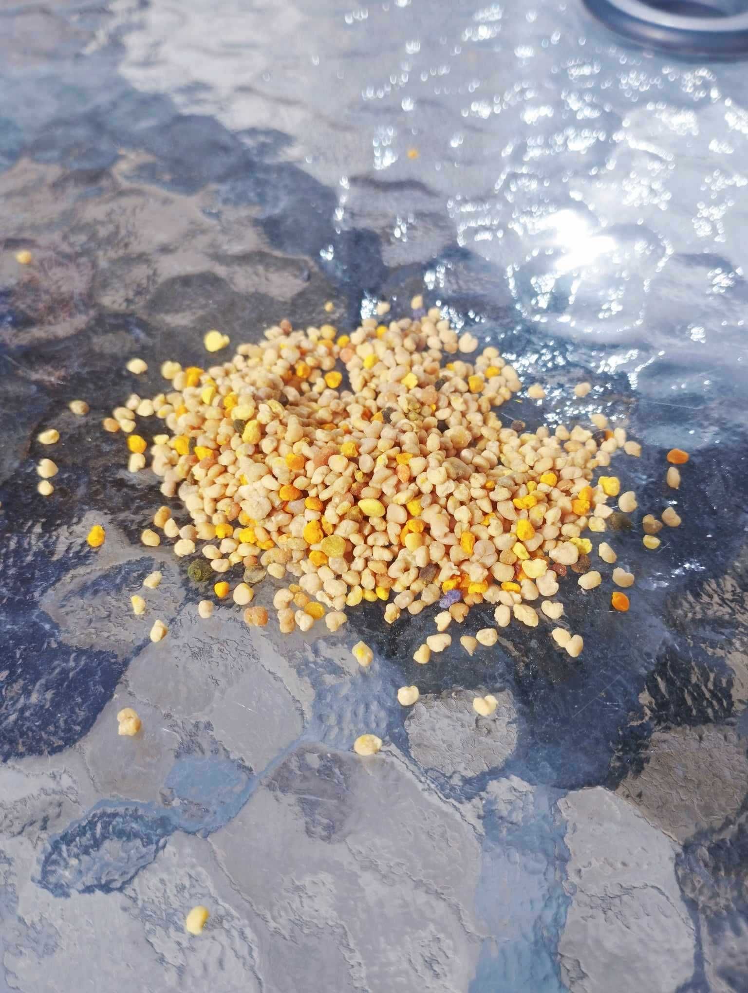 Sprzedam pyłek pszczeli, kwiatowy, świeżo zebrany 1 kg.