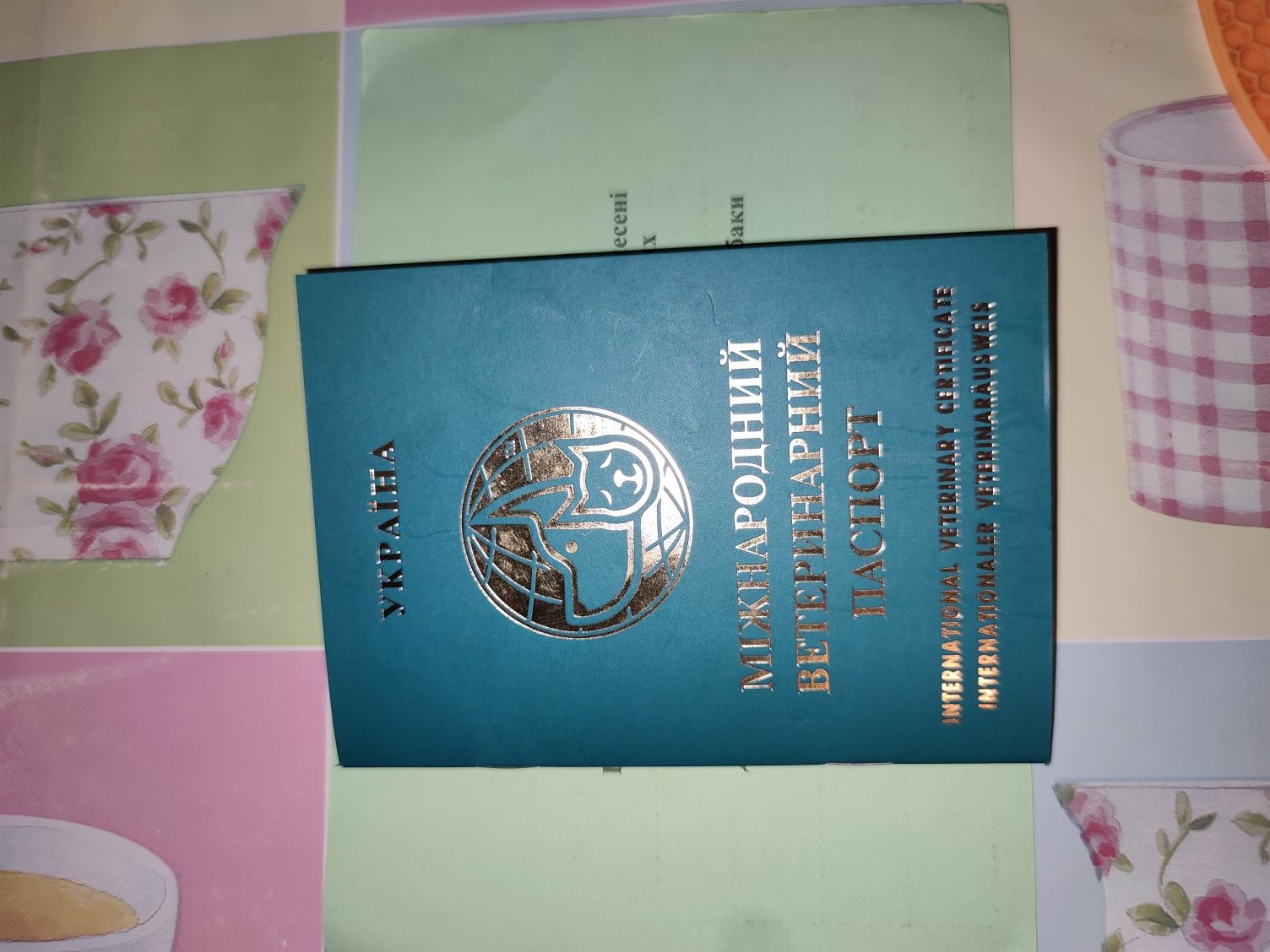 Сведу (злучу) кобеля западно Сибирская лайка