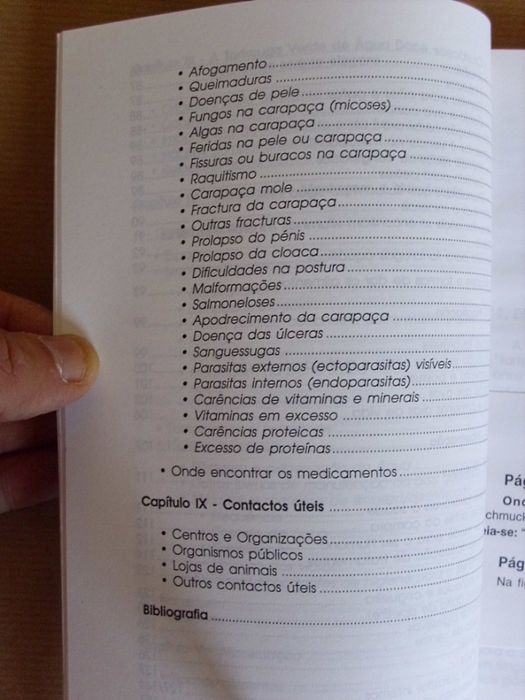 A Tartaruga Verde de Água Doce de Inês Freire de Andrade