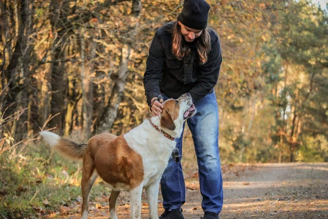 Amigo - będę wiernym przyjacielem