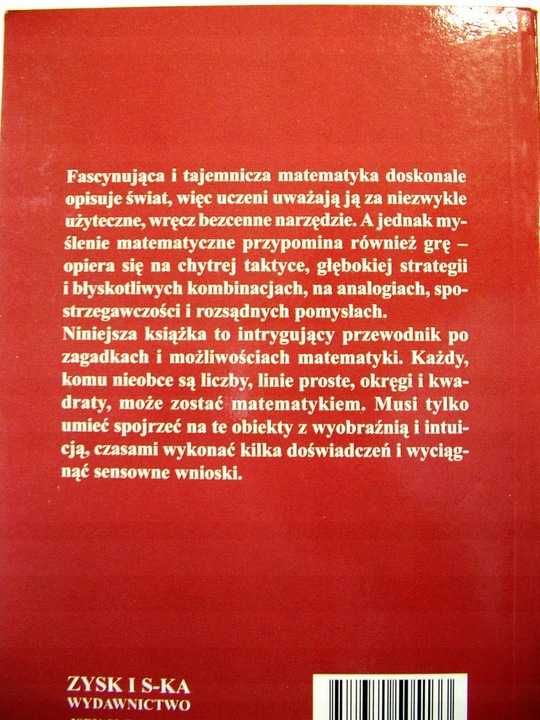 I Ty Zostaniesz Matematykiem - David Wells