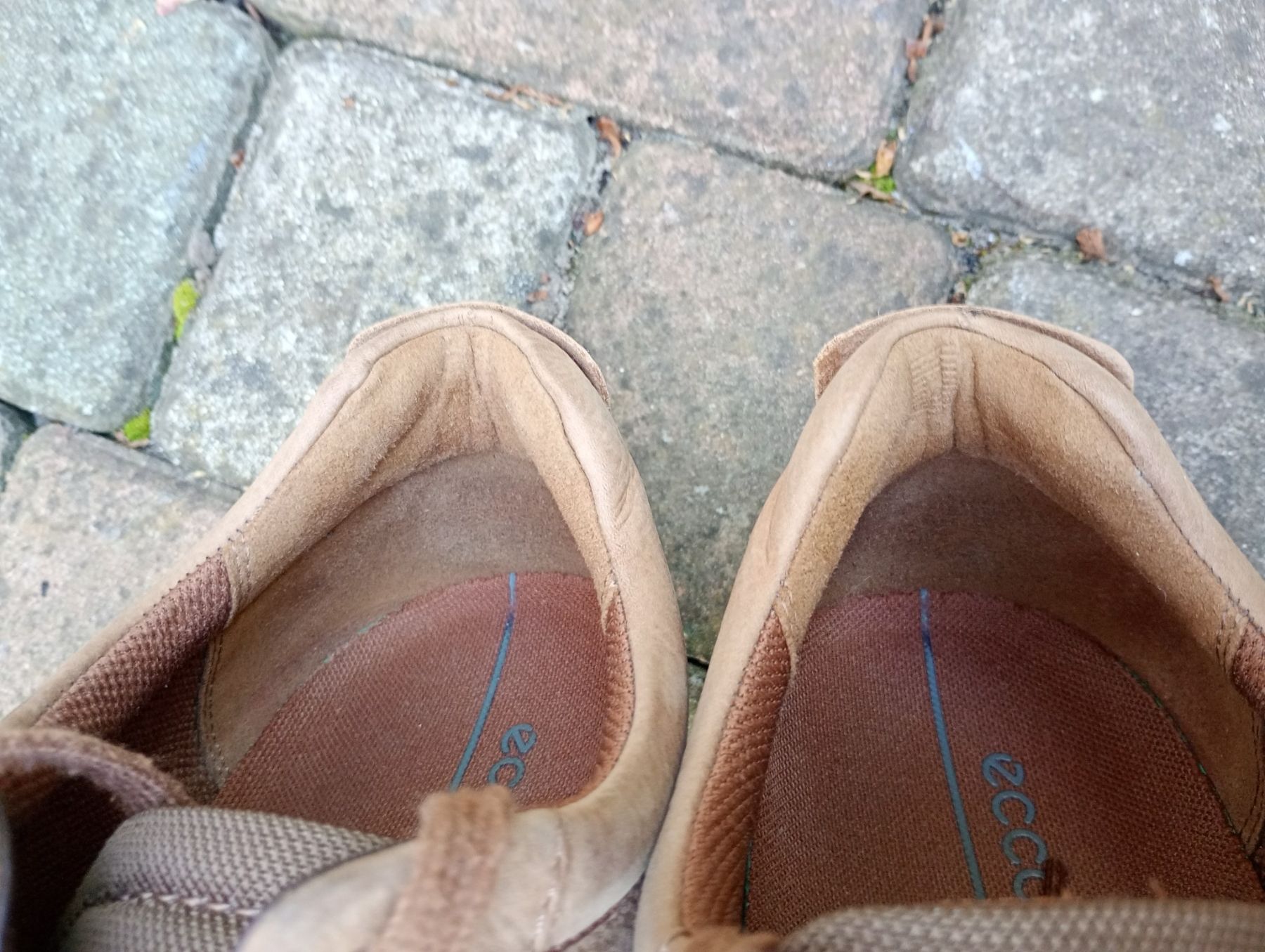 Кросівки Ecco Byway