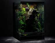 Terrarium tropikalne 40x40x60 gekon orzęsiony