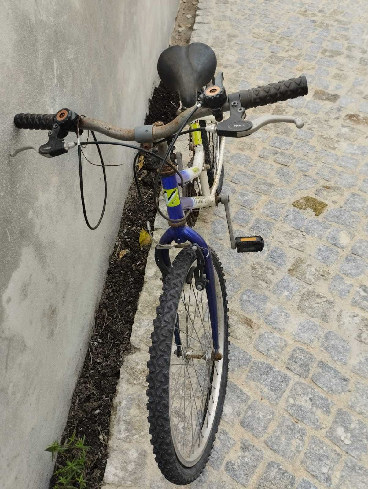 Bicicleta Senhora