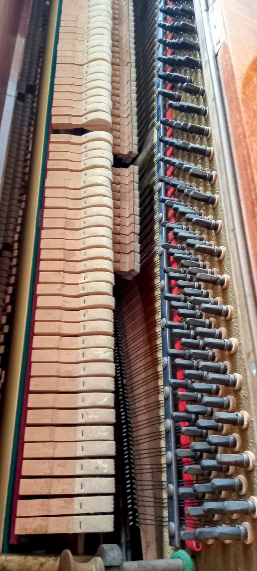 Pianino Calisia w dobre ręce