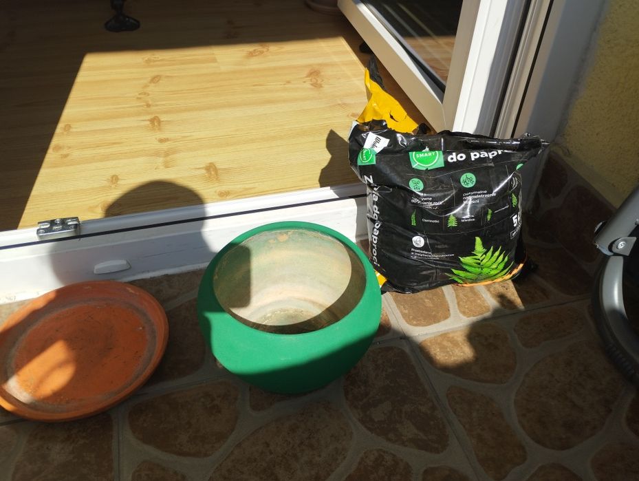 Sama ziemia do paproci nowa 2,5/