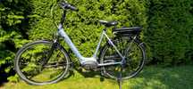 Gazelle Orange naped Bosch