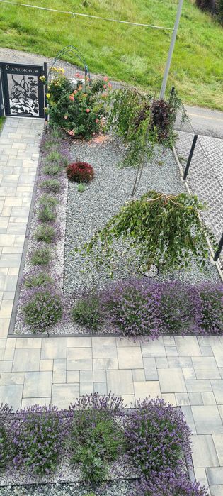 Domek rys Widokowa Ujsoly