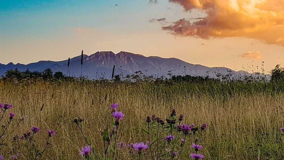 Nocleg ze śniadaniem, Wakacje, w Górach. Noclegi Poronin k.  Zakopane