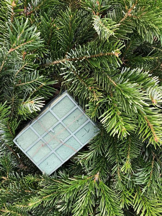 Gałęzie Jodły Kaukaskiej – Hurt, Najwyższa Jakość!