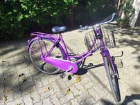 Rower Batavus Old Dutch