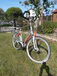 Rower batavus socorro
