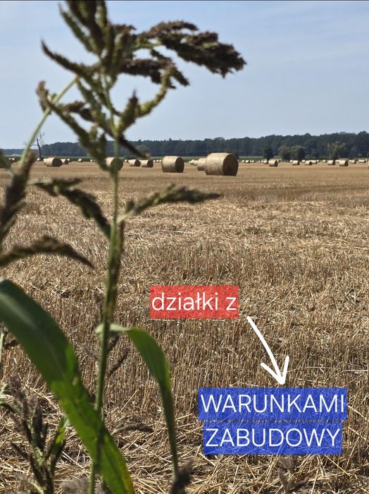 Działki  - z warunkami zabudowy