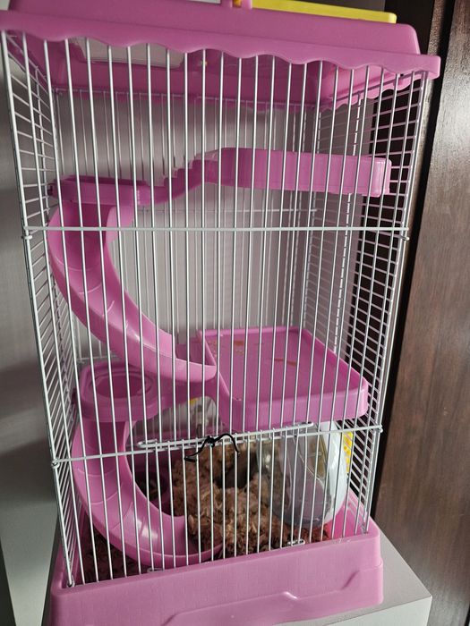 Gaiola de rato hamester