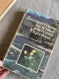 Дикорастущие полезные растения украины 1983 справочник