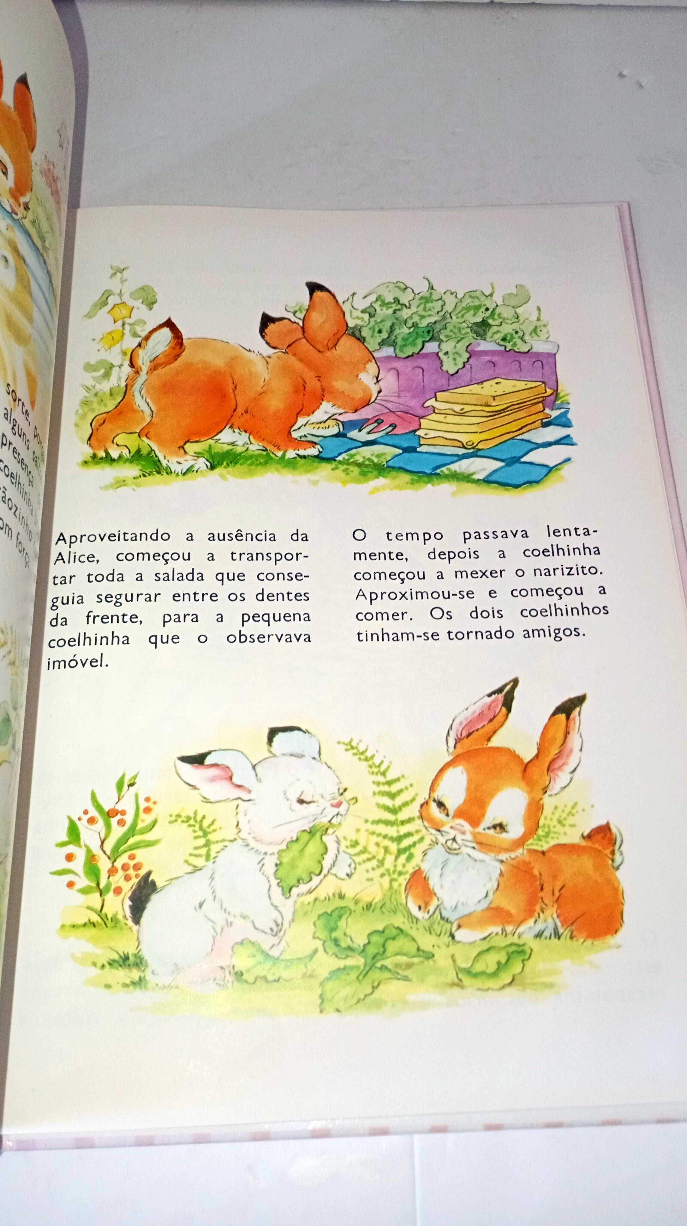 O Coelhinho Apaixonado (Matal)