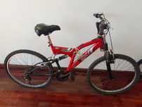 Bicicleta Adulto