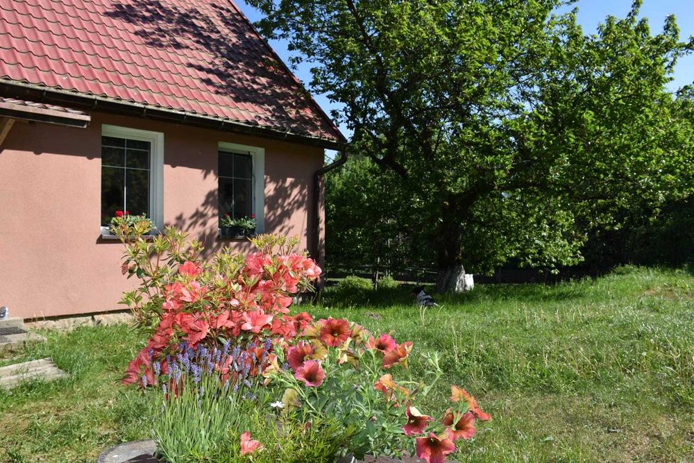 Jelenino Domek nad jeziorem, cały dom dla gości.  Brak sąsiadów.
