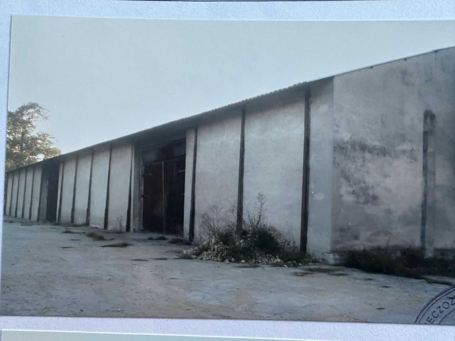 Sprzedam nieruchomość rolną, zabudowaną – Lubska, Gmina Wilków