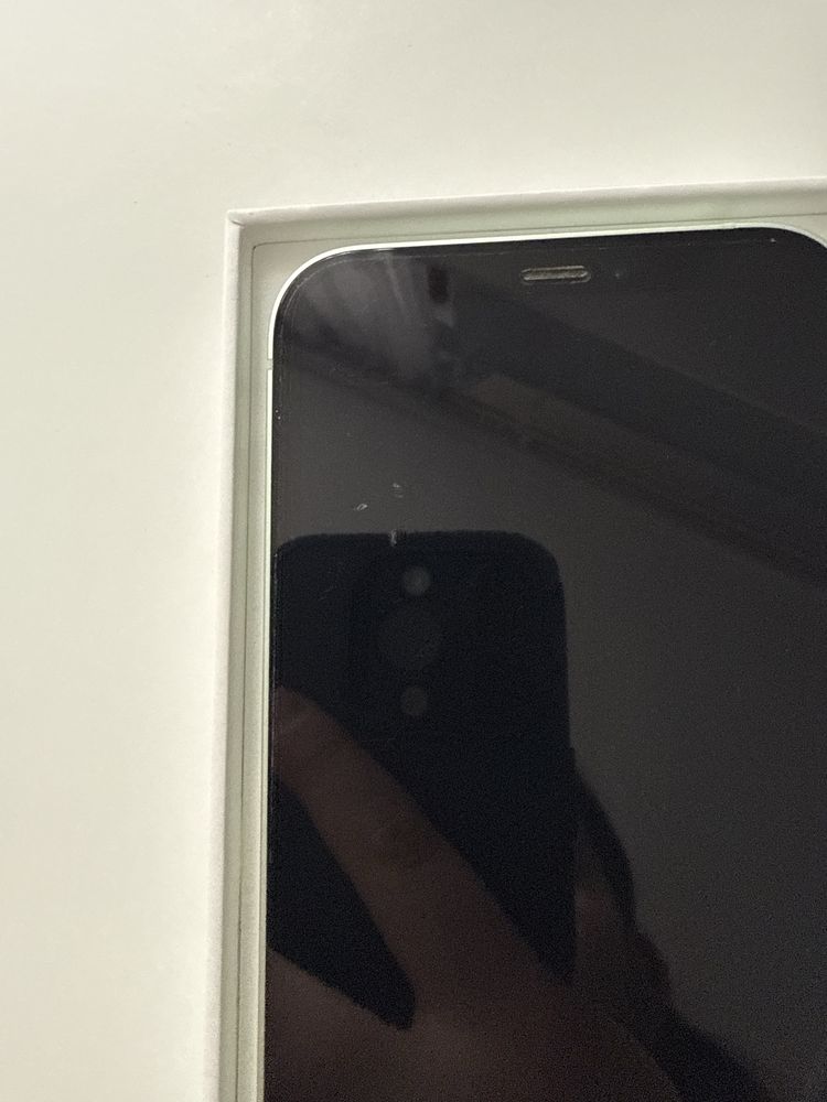 Zielony Apple Iphone 12