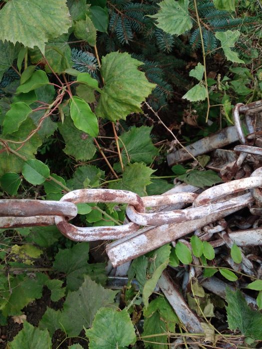 Łańcuch od wyciągu