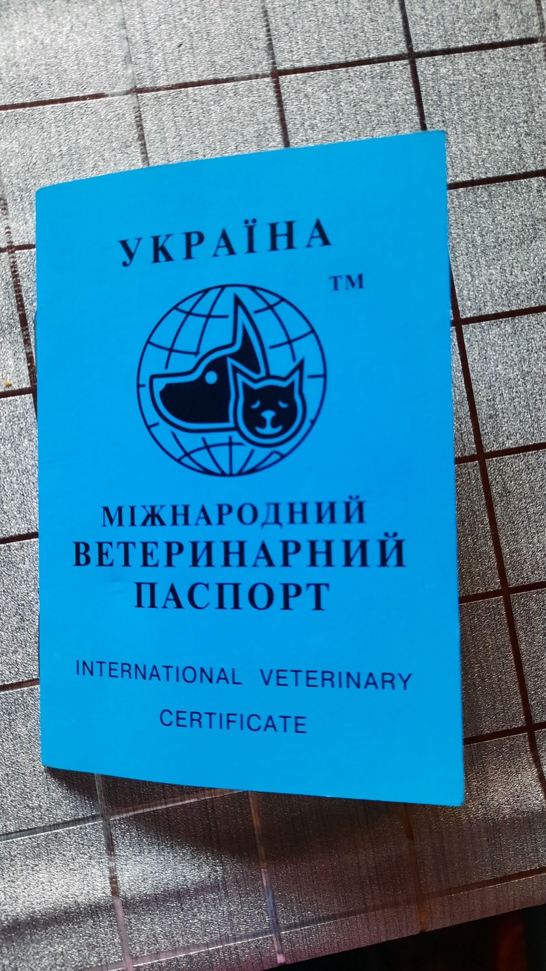 СРОЧНО!Продам померанского шпица