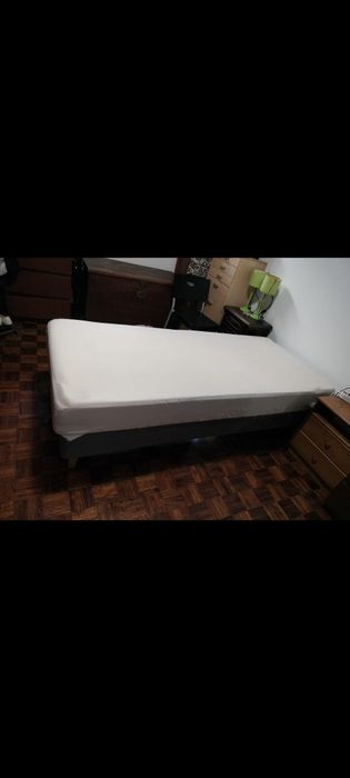 Cama  Articulada