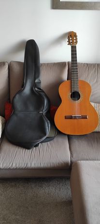 Guitarra Acústica Amazónia, com saco.