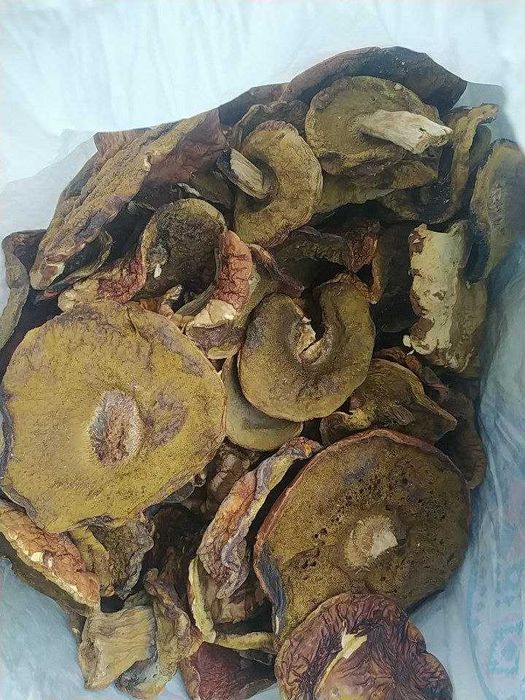 Гриби білі, сушені в печі (ціна за 1 кг)