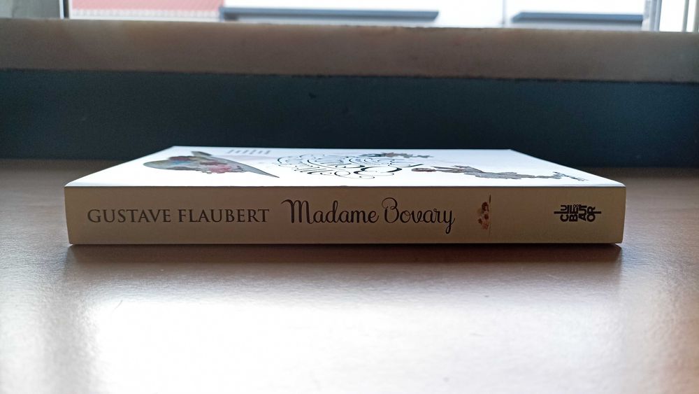 Livro "Madame Bovary" de Gustave Flaubert e prefácio de Clara F. Alves