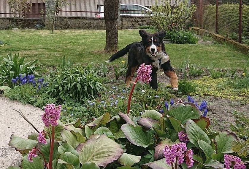 Kwatery Dom Pracowniczy Hostel Gdynia Cisowa.           Wolne od zaraz