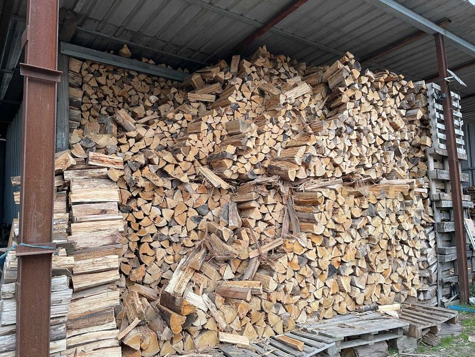 Lenha de eucalipto cortada