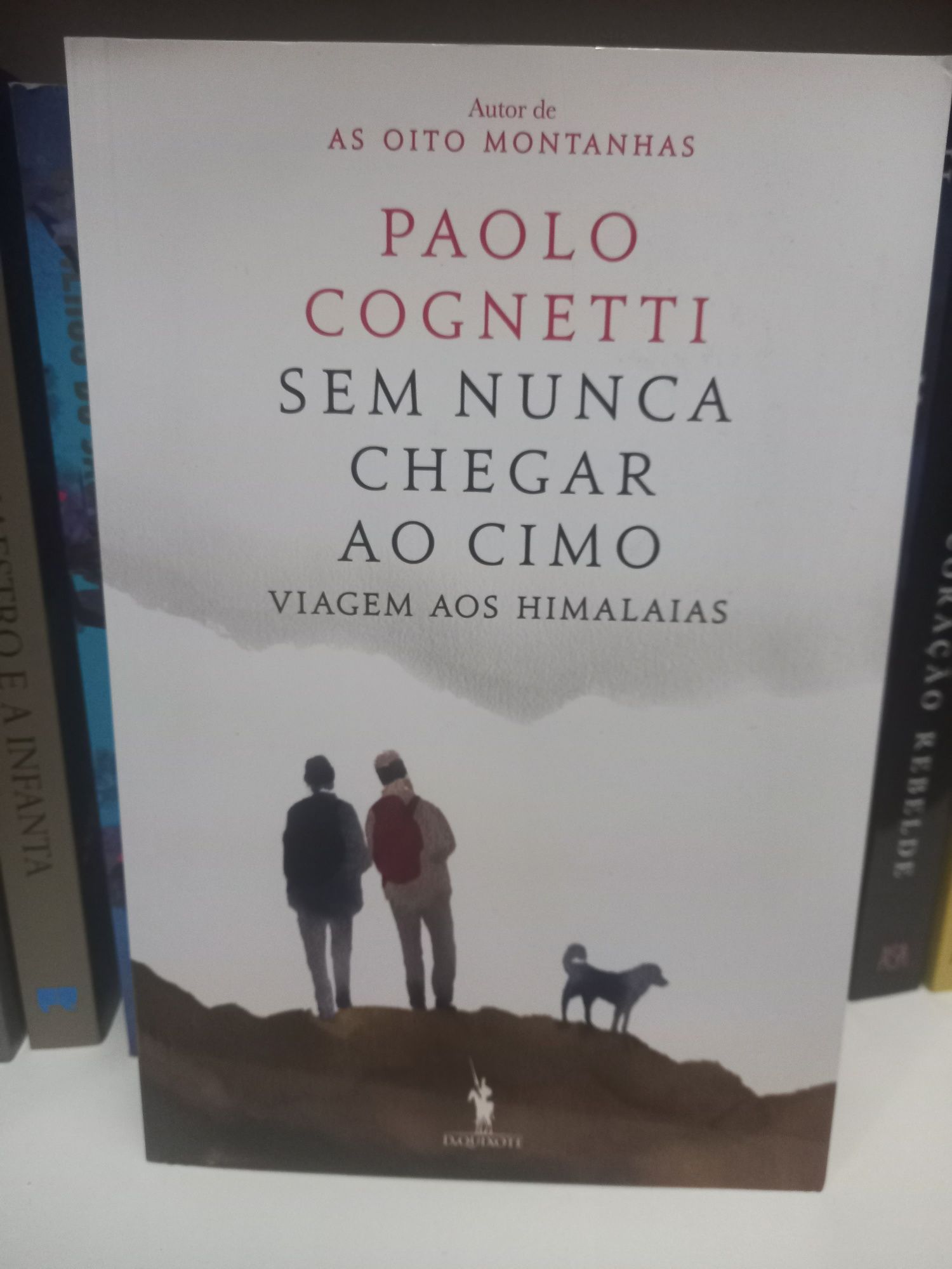 Sem Nunca Chegar ao Cimo